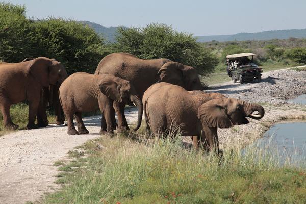 Tau Game Lodge Madikwe Vadrezervátum Kültér fotó