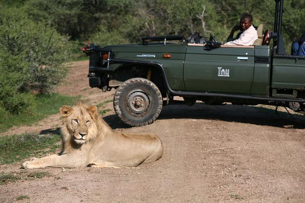 Tau Game Lodge Madikwe Vadrezervátum Kültér fotó