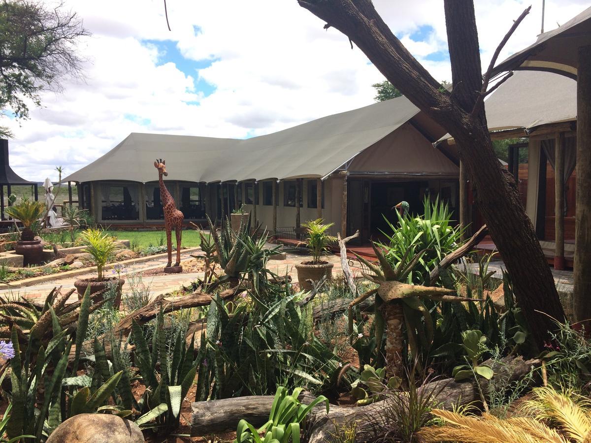 Tau Game Lodge Madikwe Vadrezervátum Kültér fotó