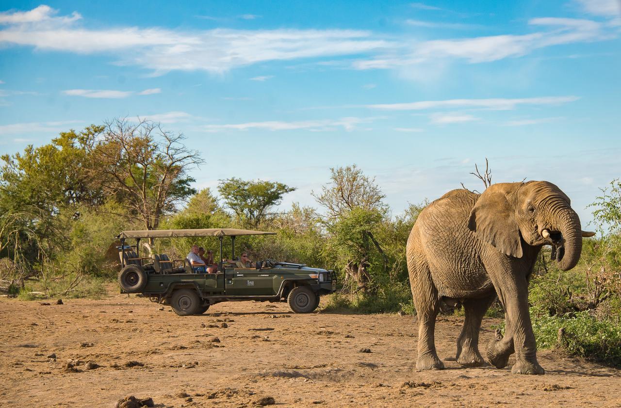Tau Game Lodge Madikwe Vadrezervátum Kültér fotó